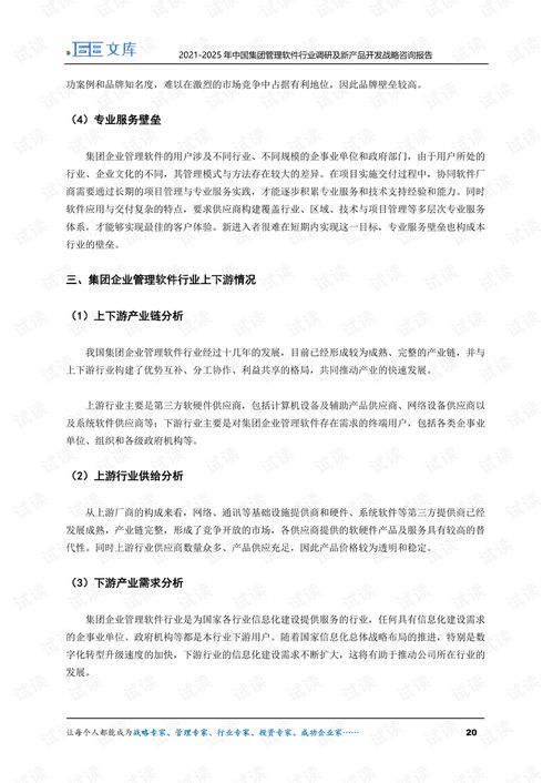 2021-2025年中國集團管理軟件行業趨勢與創新開發戰略報告